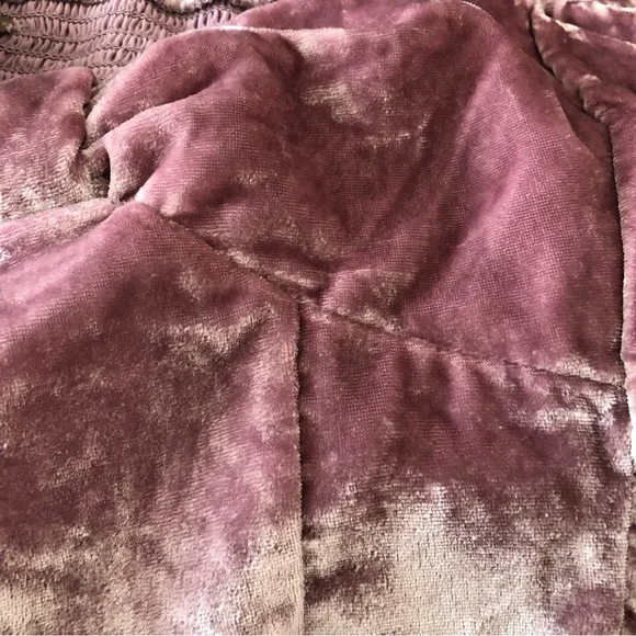 NWOT Bridgette velvet top by Free People in sizes Small and Medium - Picture 6 of 12